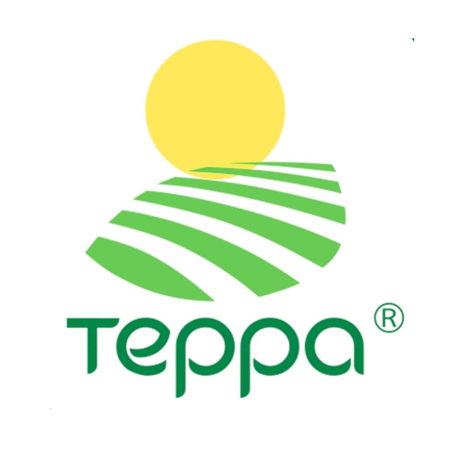Терра Logo